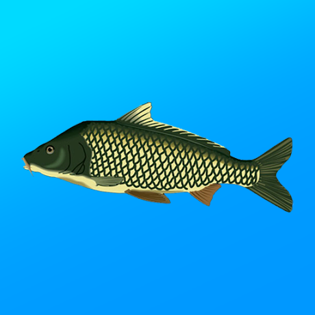 down True Fishing(Unlimited Money)