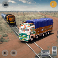 down Indian Real Cargo Truck Driver