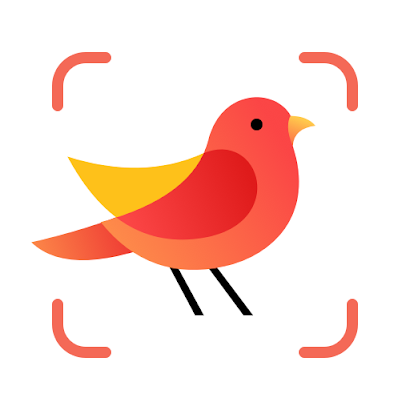 down Picture Bird