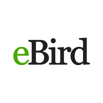 down eBird by Cornell Lab