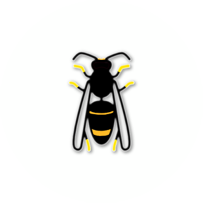 down Asian Hornet Watch