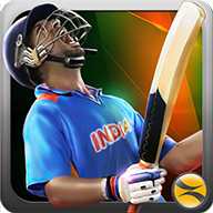 down T20 Cricket Champions 3D(Unlimited Gold)
