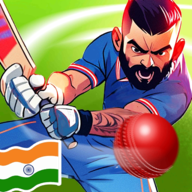 down Cricket King