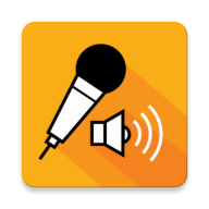 down Mic Speaker