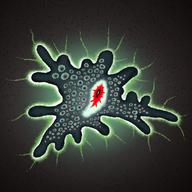 down Anomaly Evolution