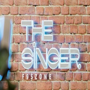 down The Singer