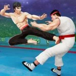 down Karate Fighter(Unlimited Money)
