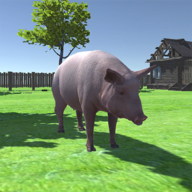 down Pig Simulator(No Ads)