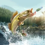 down Professional Fishing(License acquired)